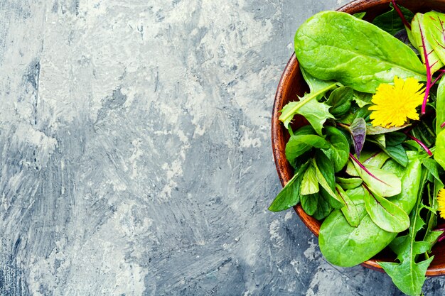 Salada de dente de leão de primavera