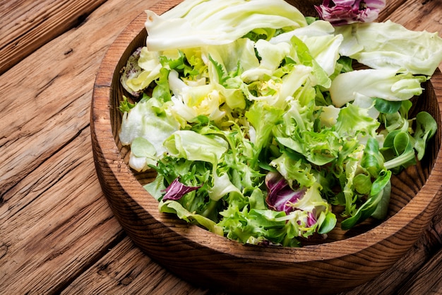 Salada de legumes da primavera