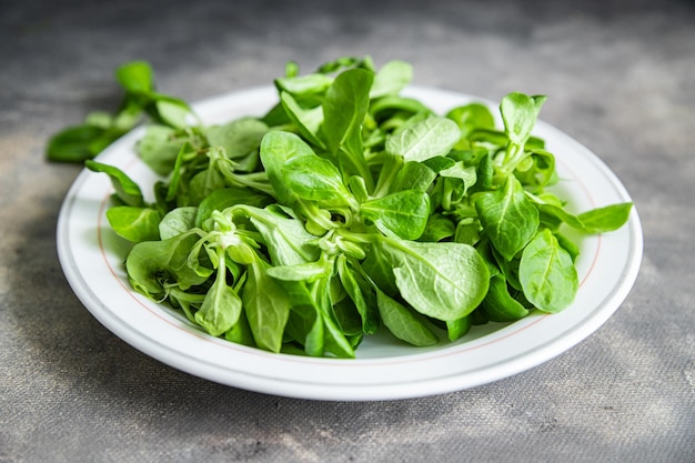 salada de mache folhas verdes feijão mung alface fresco refeição saudável comida lanche dieta na mesa