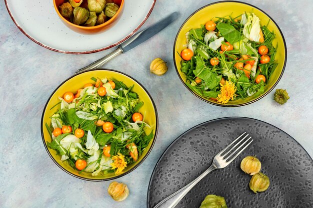 Salada de plantas selvagens e de physalis