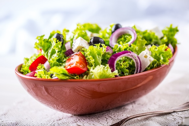 Salada de vegetais primavera Salada de vegetais frescos com tomate cebola queijo e azeitonas