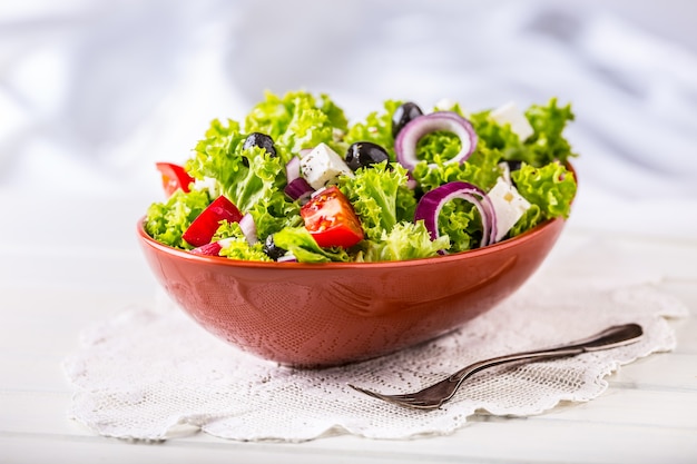 Salada de vegetais primavera Salada de vegetais frescos com tomate cebola queijo e azeitonas