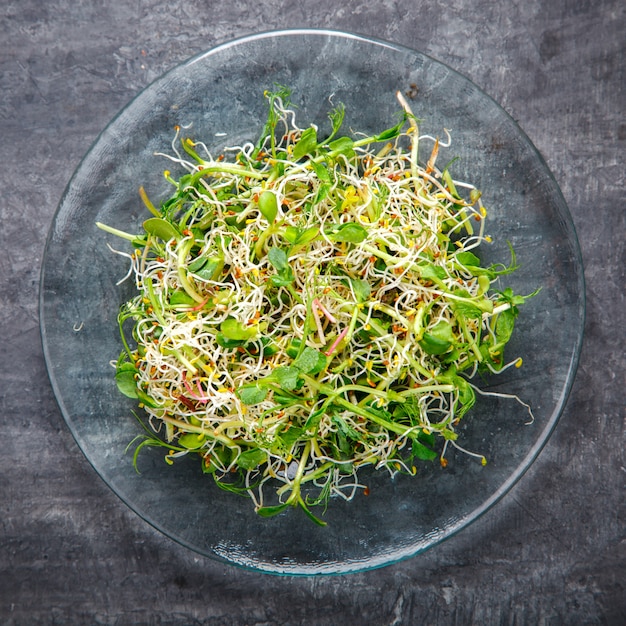 Salada fresca da mistura verde do verão.
