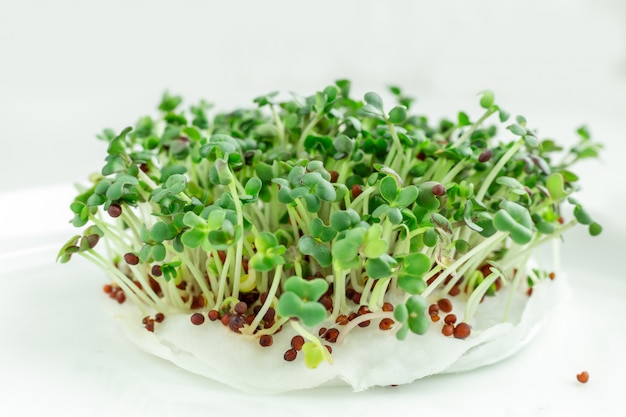 Foto salada no peitoril da janela. microgreens crescendo. vegan e conceito de alimentação saudável. fechar-se. copie o espaço