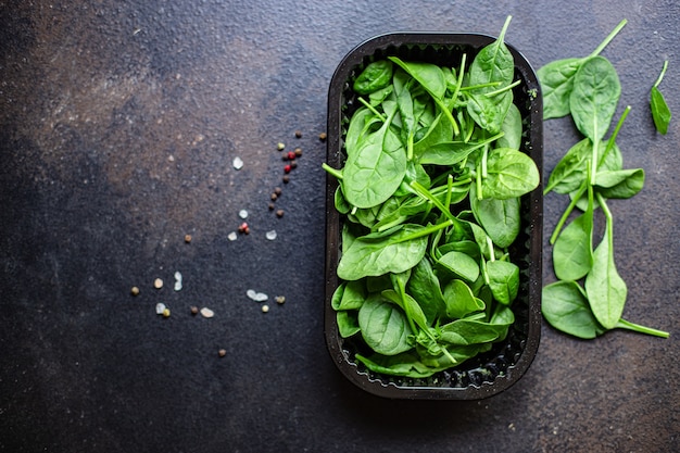 salada orgânica de folhas suculentas verdes