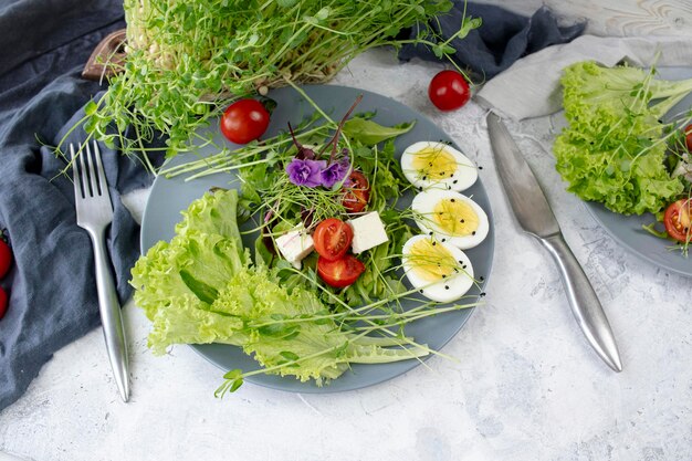 Salada saudável com alface, cereja, tomate, queijo mozzarella e microgreens