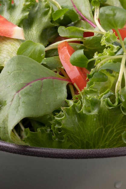 Salada saudável em uma tigela closeup.