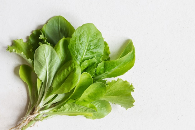 Salada verde. comida vegana. o conceito de alimentação saudável