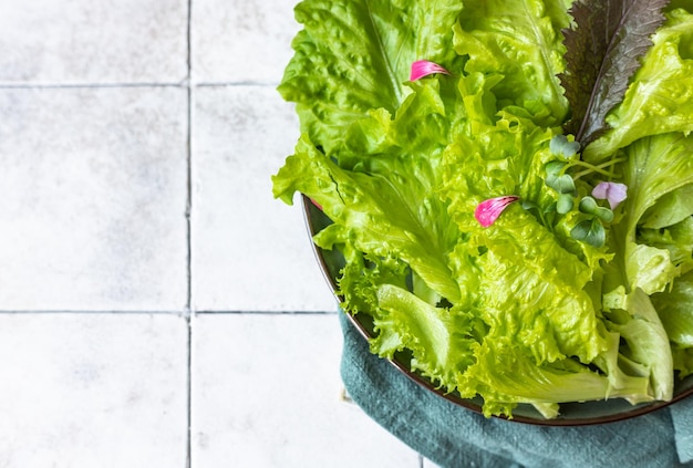Salada verde feita de mistura de folhas verdes e micro verde Variedade de verduras comestíveis colhidas saudáveis