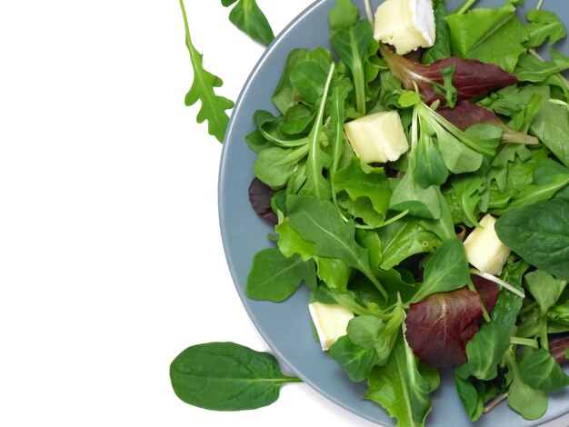 Salada verde fresca com queijo brie