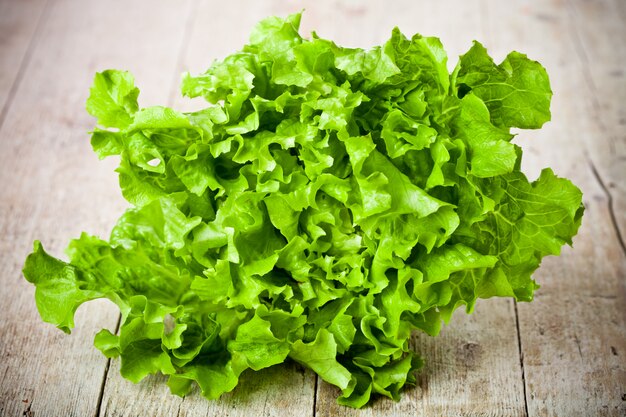 Salada verde fresca