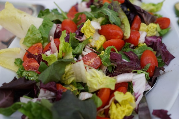 Foto salada de verduras multicolores de lechuga y tomate