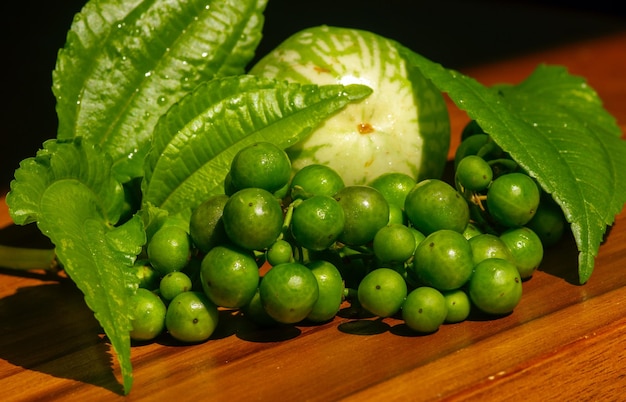 Saladas cruas tradicionais sudanesas Leunca Solanum nigrum em foco superficial. Daun Pohpohan Pilea melastomoides. Uma berinjela redonda Solanum melongena muito popular no oeste de Java na Indonésia