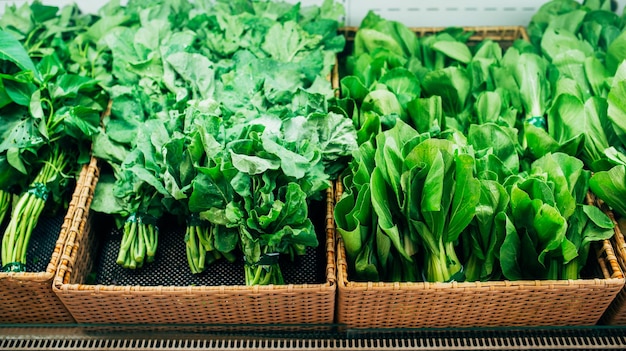 Saladas de espinafre e folhas