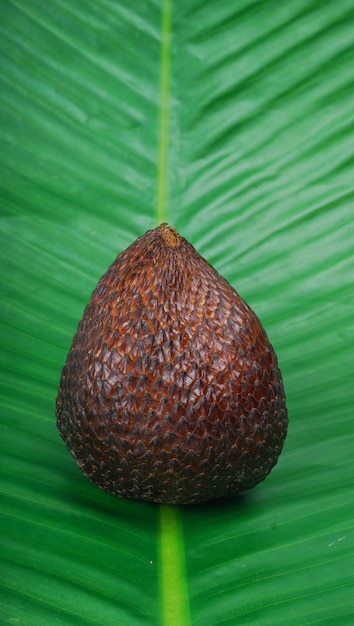 Salak fruta em fundo de folha de bananeira Salak é uma fruta nativa da Indonésia