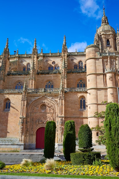 Salamanca-Kathedralenfassade in Spanien