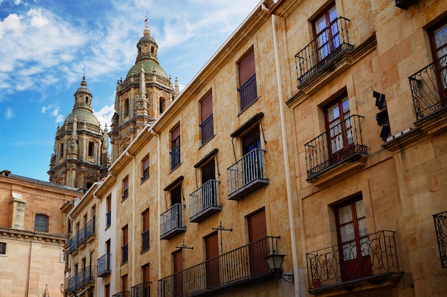 Salamanca university and Clerecia church Espanha