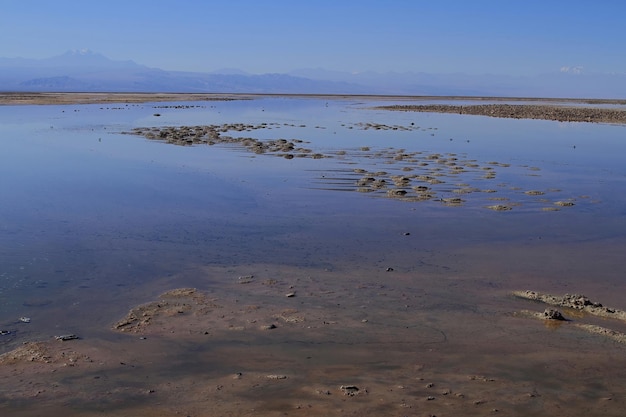 salar de atacama chile