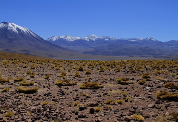 salar de atacama chile