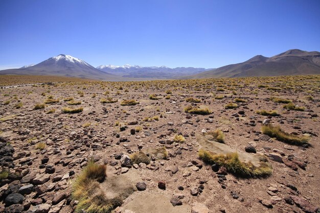 salar de atacama chile