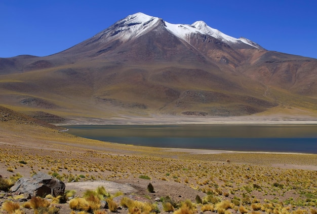 salar de atacama chile