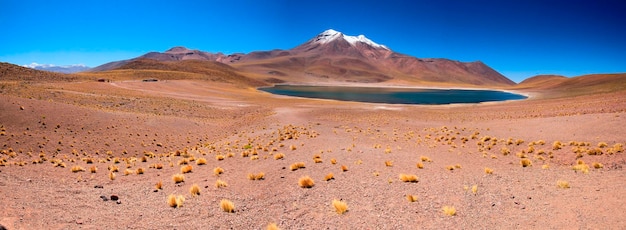 salar de atacama chile