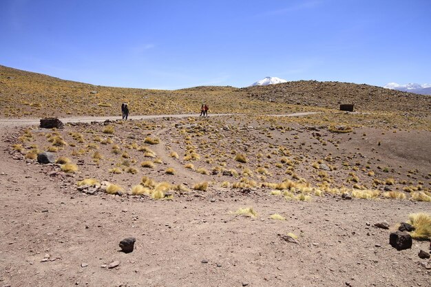 salar de atacama chile