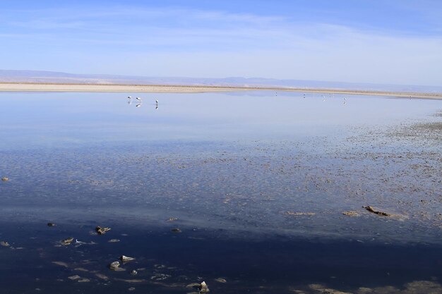 Salar de Atacama Chile