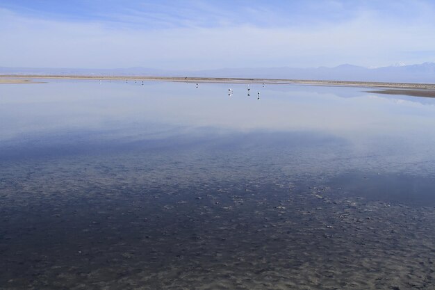 Salar de Atacama Chile