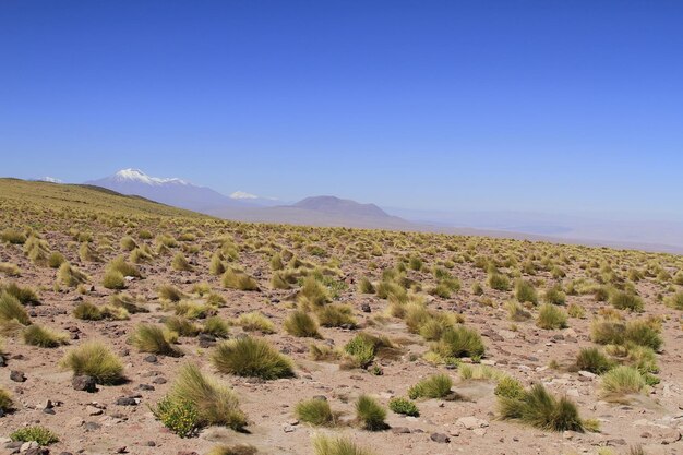 Salar de Atacama Chile