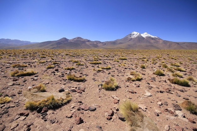 Salar de Atacama Chile