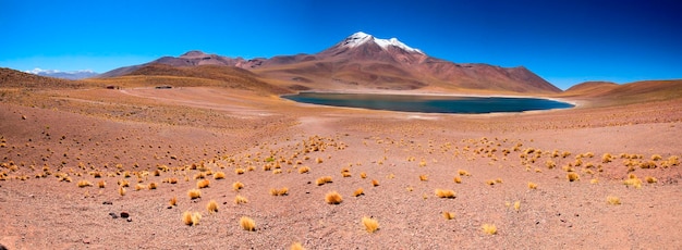 Salar de Atacama Chile
