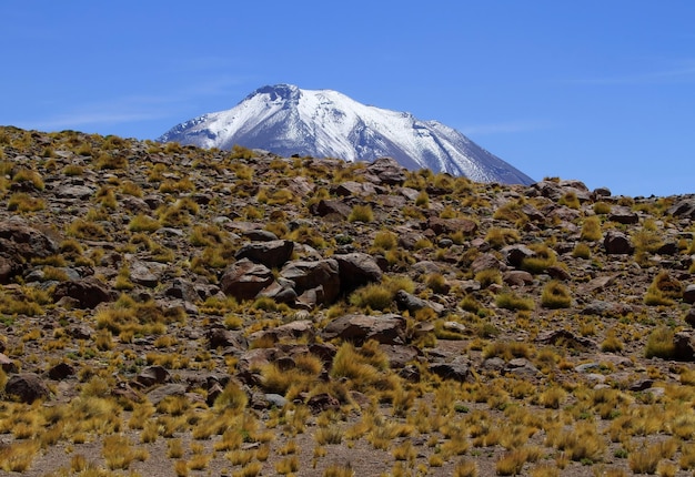 Salar de Atacama Chile