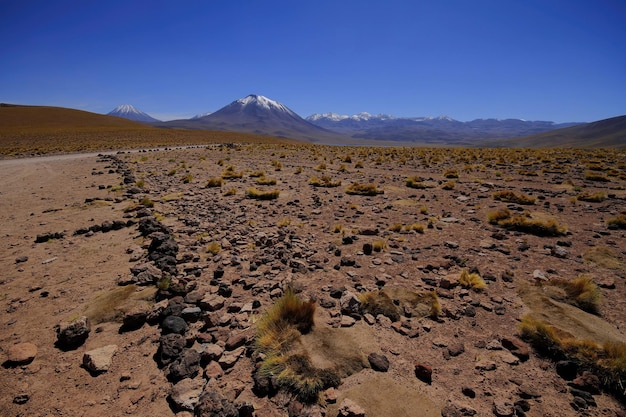 Salar de Atacma Chile