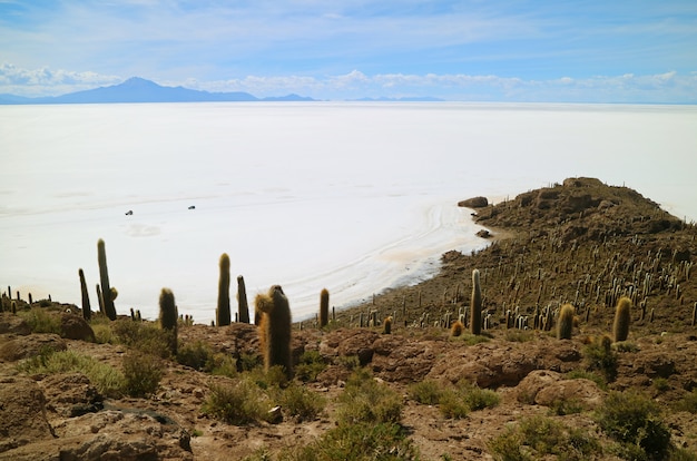 Salar de Uyuni, der weltgrößte Salzsee-Blick von Isla Incahuasi