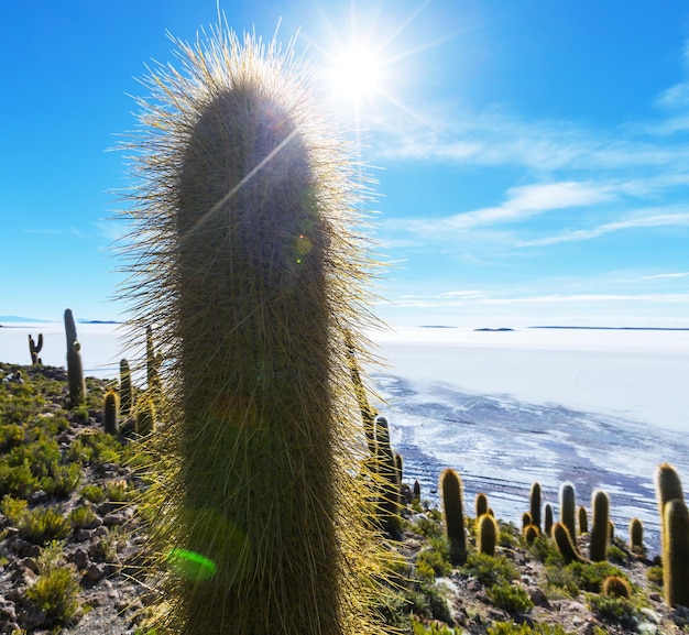 Salar de Uyuni