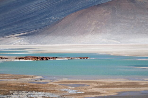 Salar de Talar lagos de sal del altiplano a una altitud de 3950 m de los andes chilenos del norte de Chile