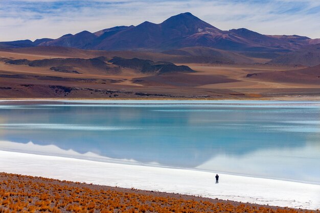 Foto salar de tuyajto y laguna en el desierto de atacama chile