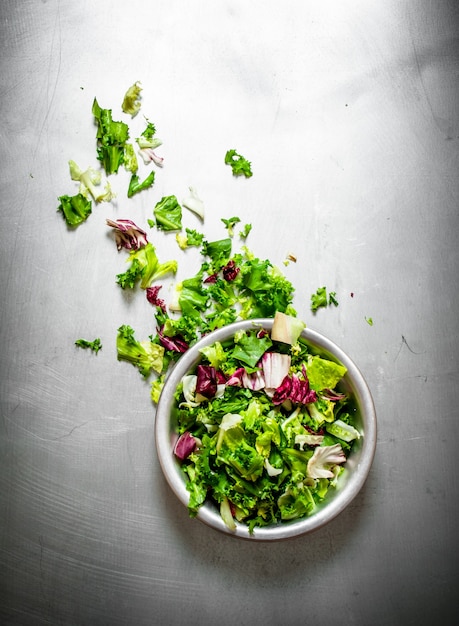 Salat aus frischem Grün.