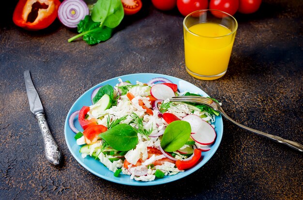 Foto salat-frischgemüse-tomaten-gurken-rettich-zwiebel-kräuter