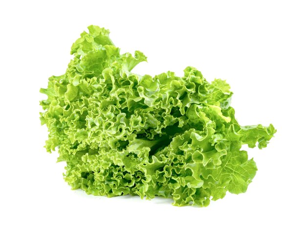 Salatblatt auf weißem Hintergrund, grünes Blattmuster Salatbestandteil