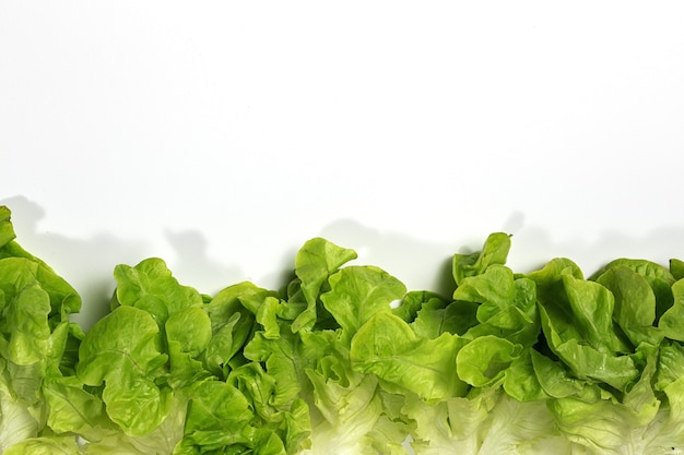 Salatsortiment Hintergrund auf buntem Hintergrund. Veganes Ernährungskonzept