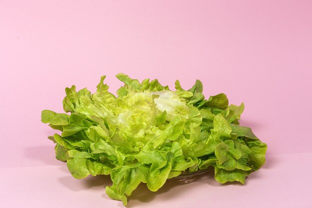 Salatsortiment Hintergrund auf buntem Hintergrund. Veganes Ernährungskonzept