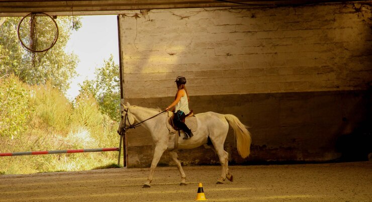 Foto salga a caballo