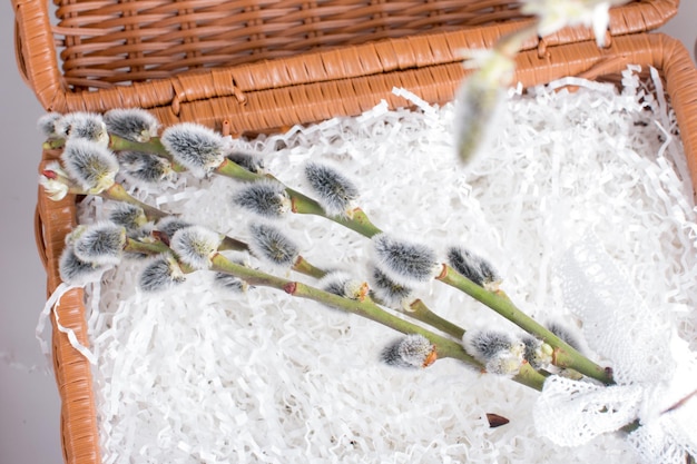 Foto salgueira fofa de páscoa num vaso feriado de páscua primavera