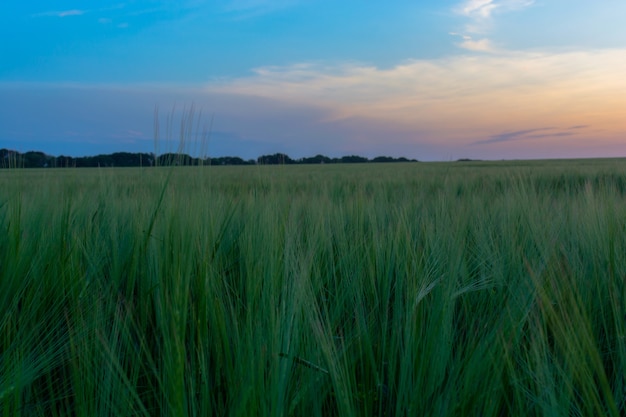 Salida del sol al atardecer sobre campo o prado. Cielo dramático brillante y suelo oscuro. Paisaje de campo bajo el pintoresco cielo colorido al atardecer amanecer amanecer.