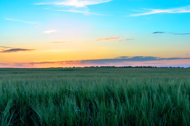 Salida del sol al atardecer sobre campo o prado. Cielo dramático brillante y suelo oscuro. Paisaje de campo bajo el pintoresco cielo colorido al atardecer amanecer amanecer.