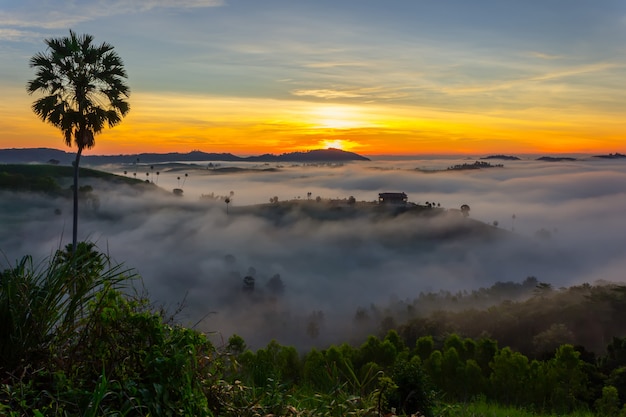 Salida del sol hermosa y la niebla en Khao Kho, provincia de Phetchabun, Tailandia.