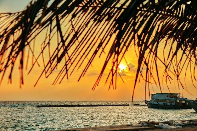 Salida del sol en una isla tropical en el Océano Índico. Maldivas.