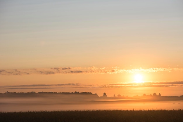 Salida del sol sobre el campo brumoso de la mañana